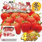 ふるさと納税 春日市 【2025年12月上旬〜26年1月下旬発送予定】博多あまおう(冬)250g-270g×4P(春日市)