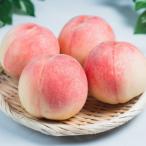 ふるさと納税 横手市 横手市産増田産の桃(さくら白桃)3kg