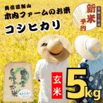 ふるさと納税 飯山市 【令和7年産】【先行予約】奥信濃飯山 〜木内ファームのお米〜 コシヒカリ 玄米 5kg