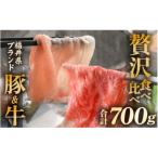 牛 豚 食べ比べ 若狭牛 ふくいポーク ロース 計700g