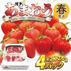 ふるさと納税 春日市 【2027年2月上旬〜4月下旬発送予定】博多あまおう(春) 250g-270g×4パック(春日市)