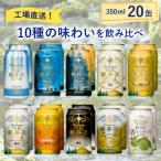 ショッピングふるさと納税 ビール ふるさと納税 佐久市 THE軽井沢ビール 10種20缶 クラフトビール350ml  飲み比べセット