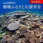 珊瑚ふるさと応援寄金 5 000円