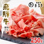 切り落とし 250g入り