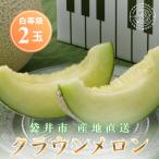 静岡クラウンメロン 白等級 約1.3kg×2個