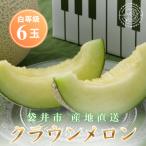 静岡クラウンメロン 白等級 約1.3kg×6個