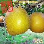 ふるさと納税 人吉市 《先行予約》《数量限定》 マンゴー梨 (王秋梨) 熊本県 【毎床すなお梨園】(人吉市)
