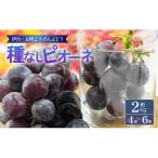 種なしピオーネ 約2kg