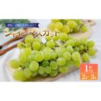 シャインマスカット 約1kg