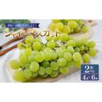 シャインマスカット 約2kg