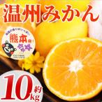 温州みかん 約10kg