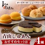 青山じゅあん セットB 4種
