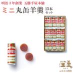 五勝手屋本舗 ミニ丸缶羊羹 15本セット