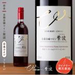 ふるさと納税 紫波町 【自園自醸ワイン紫波】紫波ベーリーA&ヤマソービニオン