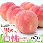 ふるさと納税 中山町 【2026年度先行予約】☆フルーツ王国山形☆ご自宅用白桃 約5kg(10〜25玉) 品種おまかせ