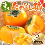 渋あり たねなし柿 約3kg
