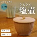 塩壺 ソルトポット 魔法のよう 塩がさらさら固まらない