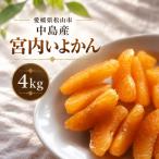宮内いよかん 4kg