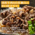 牛丼の素 約1.4kg_I1102