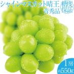 シャインマスカット 晴王 約550g