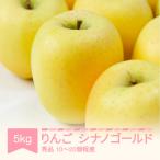 シナノゴールド 秀品 約5kg