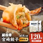 ふるさと納税 宮崎市 【簡易包装】屋台骨 宮崎餃子 60個×2袋