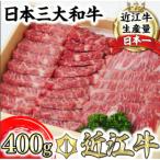近江牛ヒレ ステーキ 焼肉用 100g×4枚