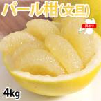 訳ありパール柑 4kg