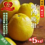 ふるさと納税 八幡浜�