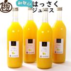 無添加はっさくジュース720ml×4本