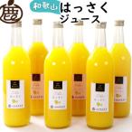 無添加はっさくジュース720ml×6本