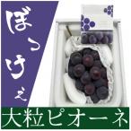 ぼっけえ大粒ニューピオーネ1房 800g以上