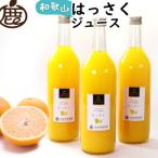 無添加はっさくジュース720ml×3本