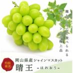 シャインマスカット 晴王 1房 800g以上