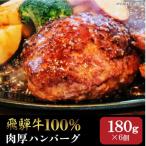 飛騨牛100% 生ハンバーグ 180g×6個