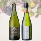 ふるさと納税 山梨県 スパークリングワイン2本セット(4)　040