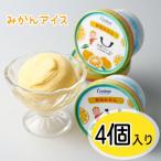 有田みかんシャーベットアイス 4個入り_ZE6511