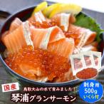 ふるさと納税 琴浦町 国産とっとり琴浦グランサーモン刺身用500g いくら付 訳あり 小分け個包装で便利・薬剤未使用で安心