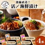 惣菜 レトルト 冷凍 漁協直送 贅沢な 漬け 4種