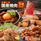 ふるさと納税 越前町 国産 お楽しみ 焼肉5種セット 合計1.4kg以上