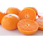 ショッピングせとか ふるさと納税 湯浅町 【先行受付】訳あり せとか 和歌山 有田 2S〜3Lサイズ混合 約2kg