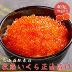 ふるさと納税 網走市 網走産　秋鮭いくら正油漬け 400g