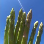 fu.... налог маленький бобы остров блок .... ... спаржа весна .