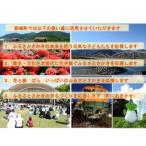 坂城町への寄付（返礼品なし）