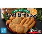 手軽で美味しい福袋 さつま揚げ詰合せ 5種