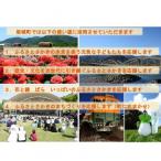 坂城町への寄付（返礼品なし）