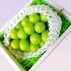 ショッピングふるさと納税 シャインマスカット ふるさと納税 中山町 【令和8年産先行受付】大房大粒シャインマスカット　秀品　約700〜800g