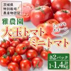 fu.... налог . суша Omiya город . сельское хозяйство . мини помидоры &amp; большой шар помидор комплект 