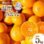 踊るおいしさ 甘くてジューシー 温州みかん 5kg