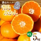 踊るおいしさ 味濃く甘い 青島みかん 5kg